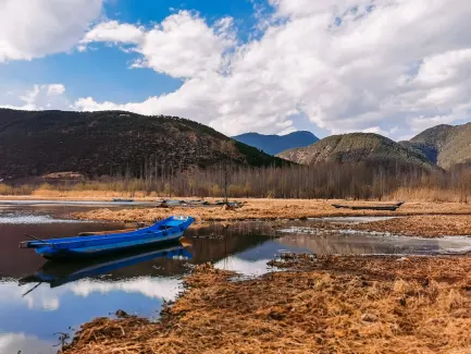 ウィニング カジノ モバイルアプリ